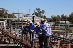 IMG_4359