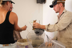 CT_A7403640_Aus_Day_CBL_2026