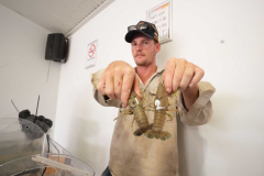 CT_A7403648_Aus_Day_CBL_2026