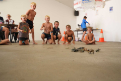 CT_A7403654_Aus_Day_CBL_2026