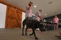 CT_A7403691_Aus_Day_CBL_2026