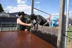 CT_A7403698_Aus_Day_CBL_2026