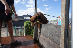 CT_A7403699_Aus_Day_CBL_2026