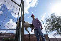 CT_A7403710_Aus_Day_CBL_2026