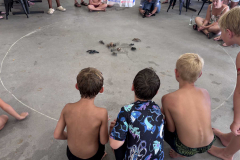 CT_IMG_5236_Aus_Day_CBL_2026