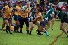 IMG_9303