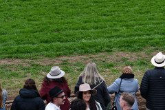 DSC_6998