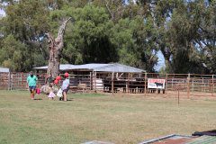 IMG_1516