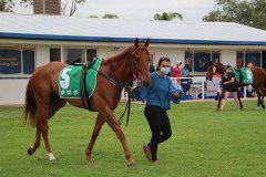 IMG_4841
