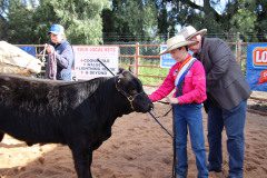 IMG_0683