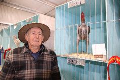 IMG_0717