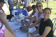 Family fun day online 10