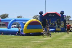Family fun day online 2