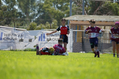CT_DSC06581_Friendships-in-Rugby_2025
