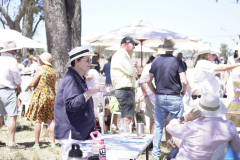CT_DSC00526_Paddock_Picnic_2025