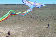CT_Gilgooma-drone-still-3-_Paddock_Picnic_2025