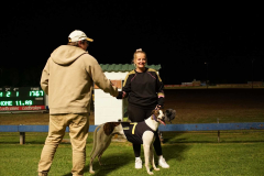 CT_041024_Greyhound-Races_0157