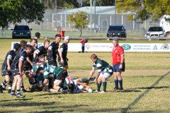 DSC_0553-Copy