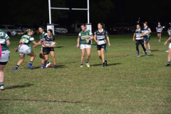 CT_DSC_9530_Rams-2nd-may_2025