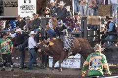 CT_047_for_Web_RODEO_2025
