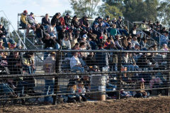 CT_052_for_Web_RODEO_2025