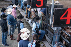 CT_082_for_Web_RODEO_2025
