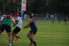 IMG_8239