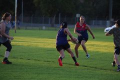 IMG_8240